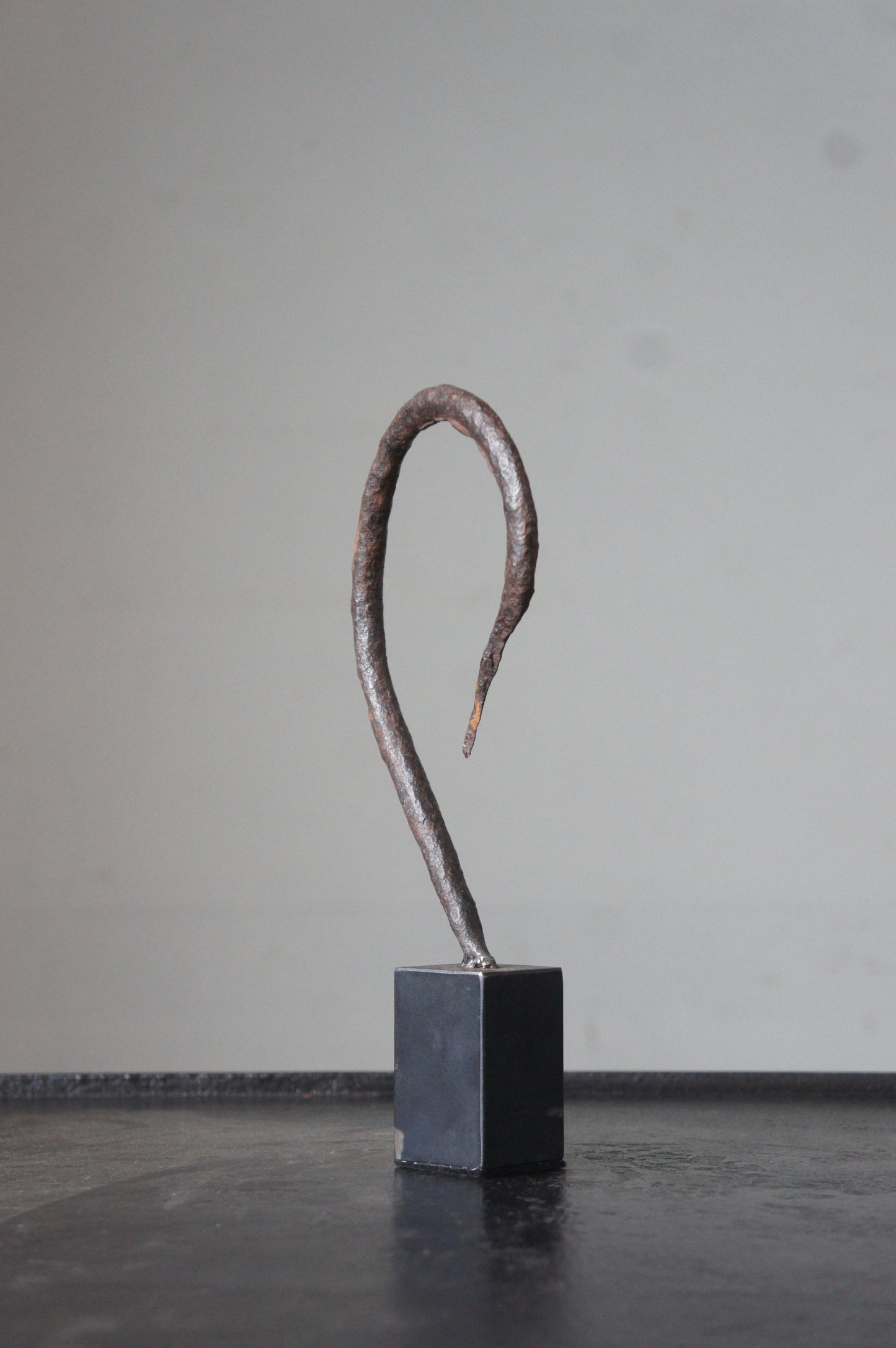 Swan neck