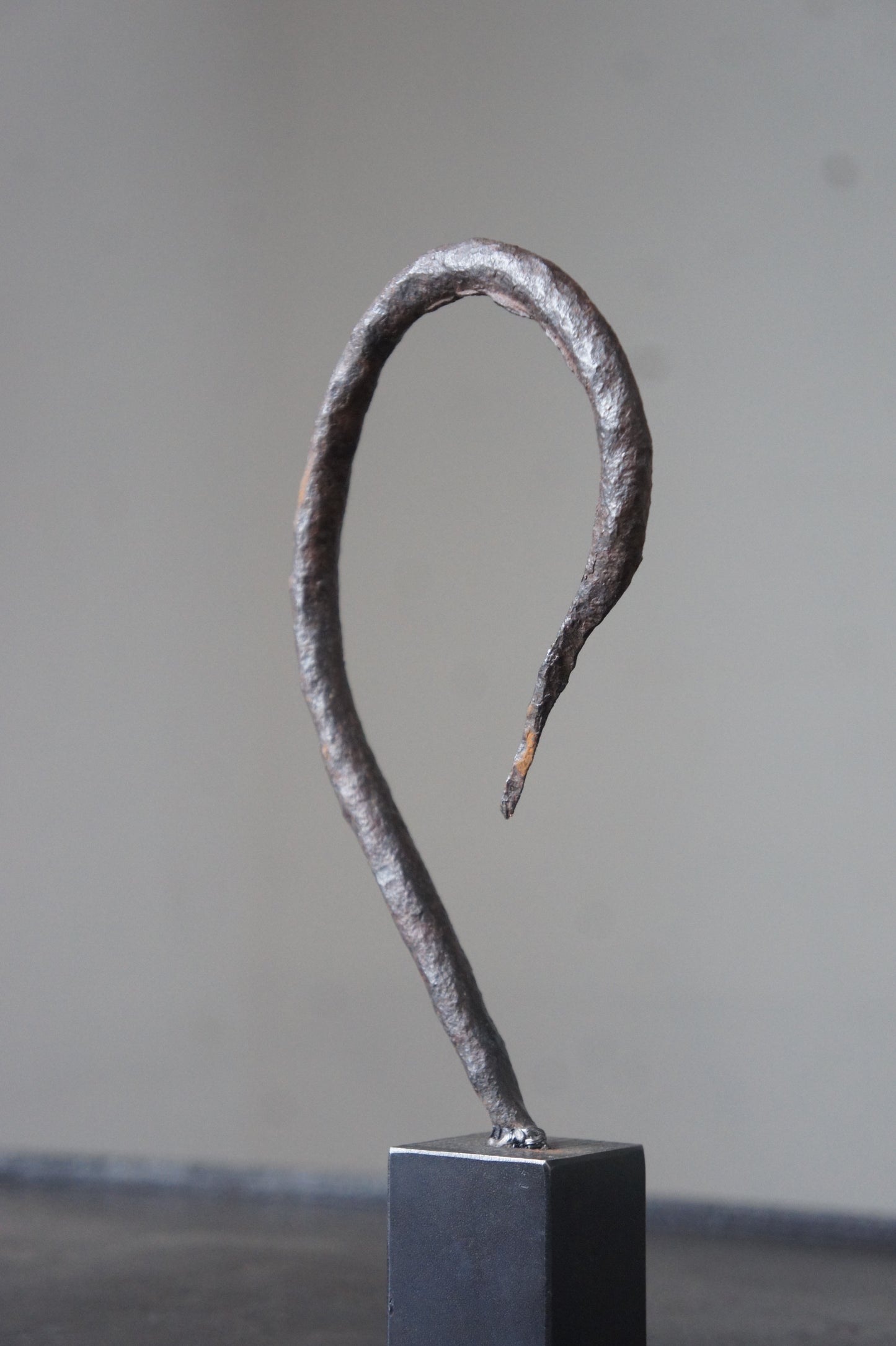 Swan neck