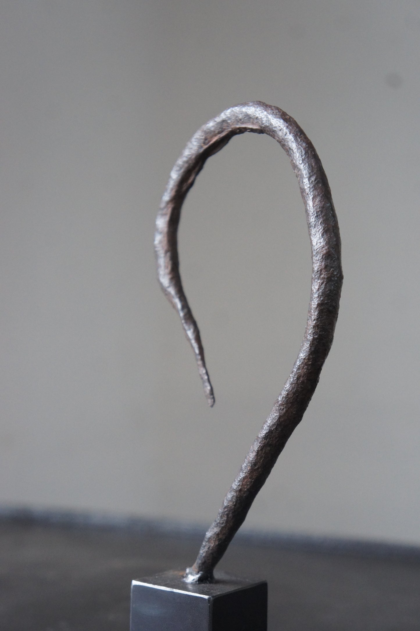 Swan neck