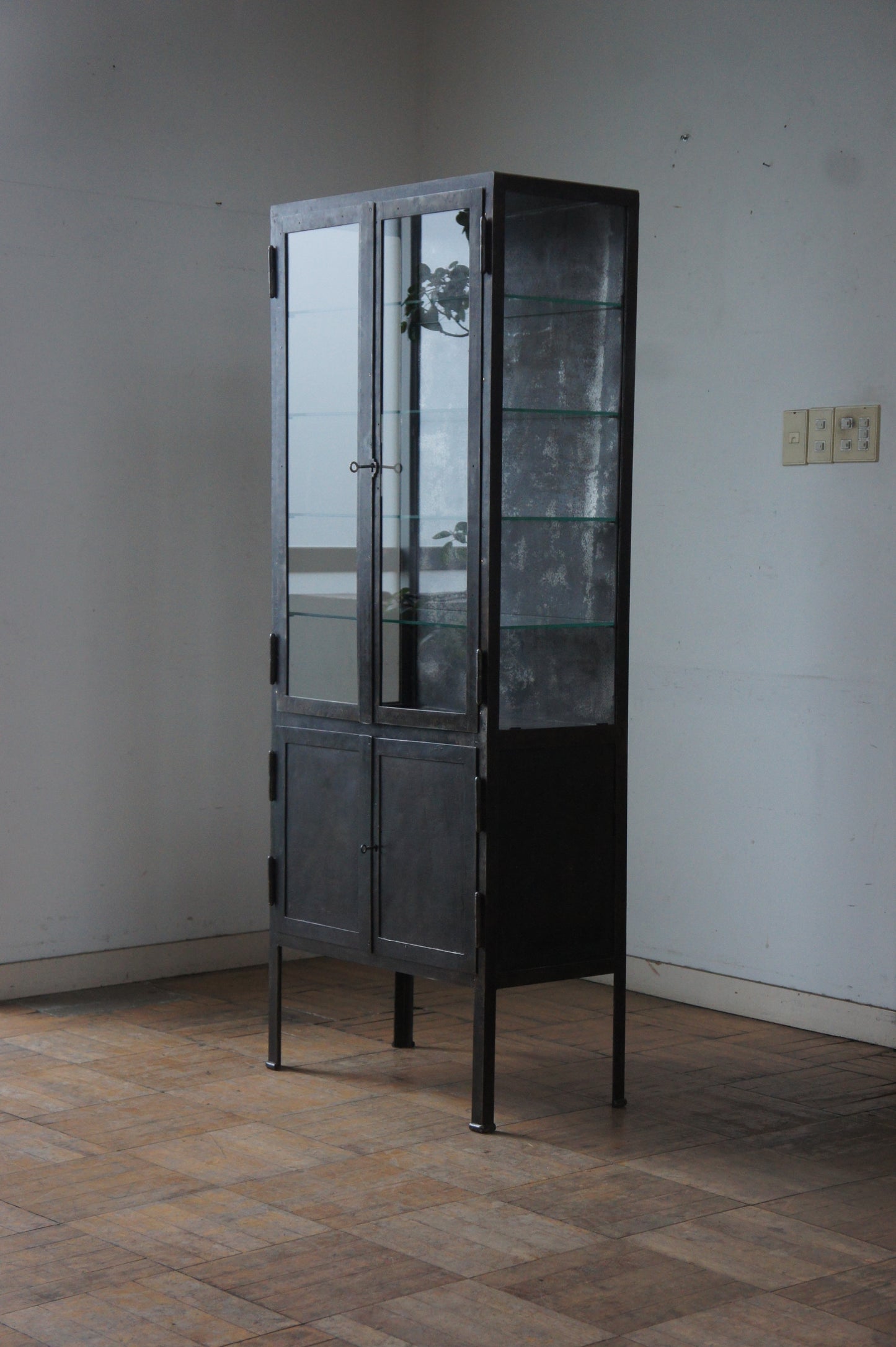 Metal glass cabinet 65