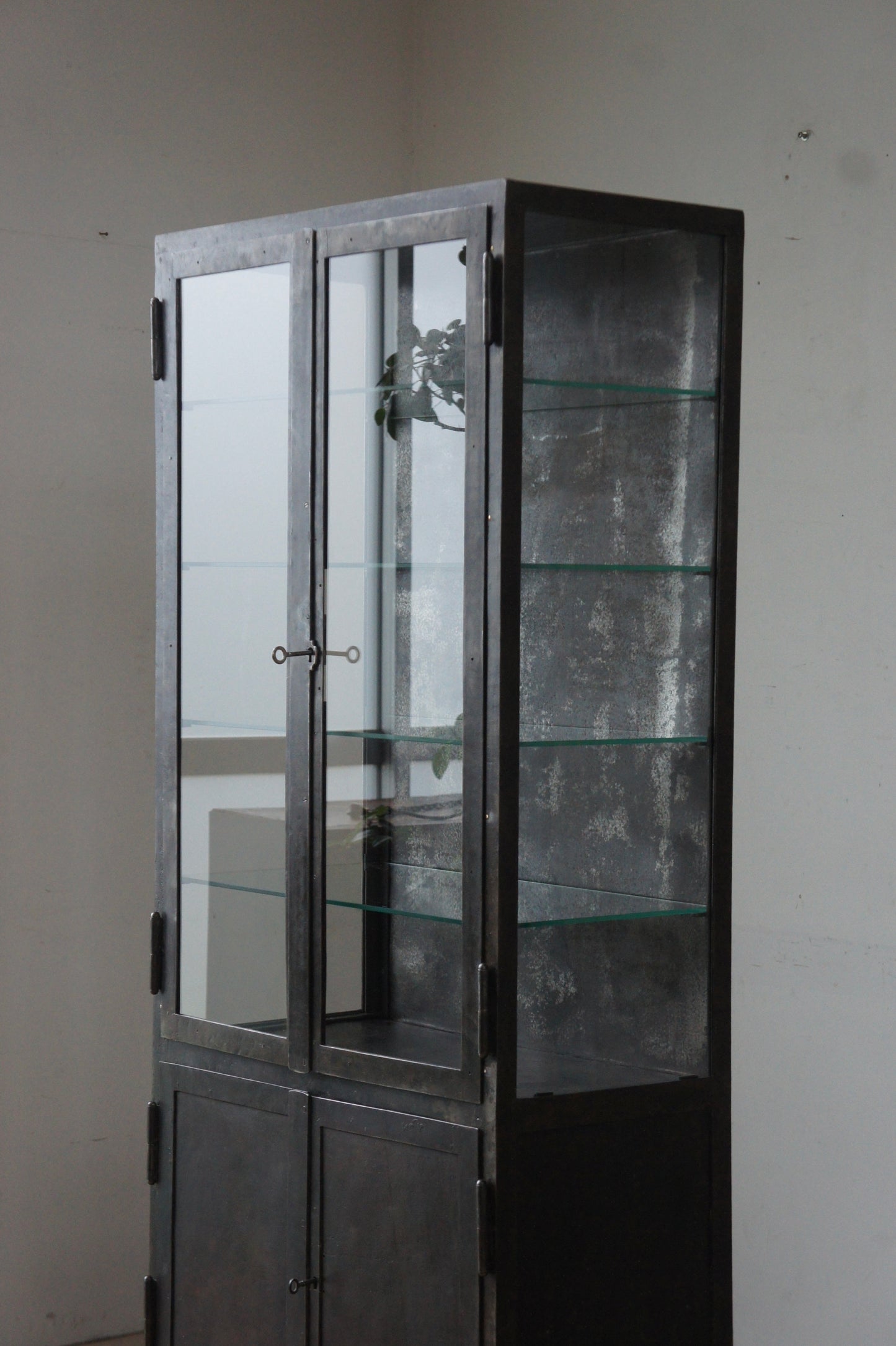 Metal glass cabinet 65