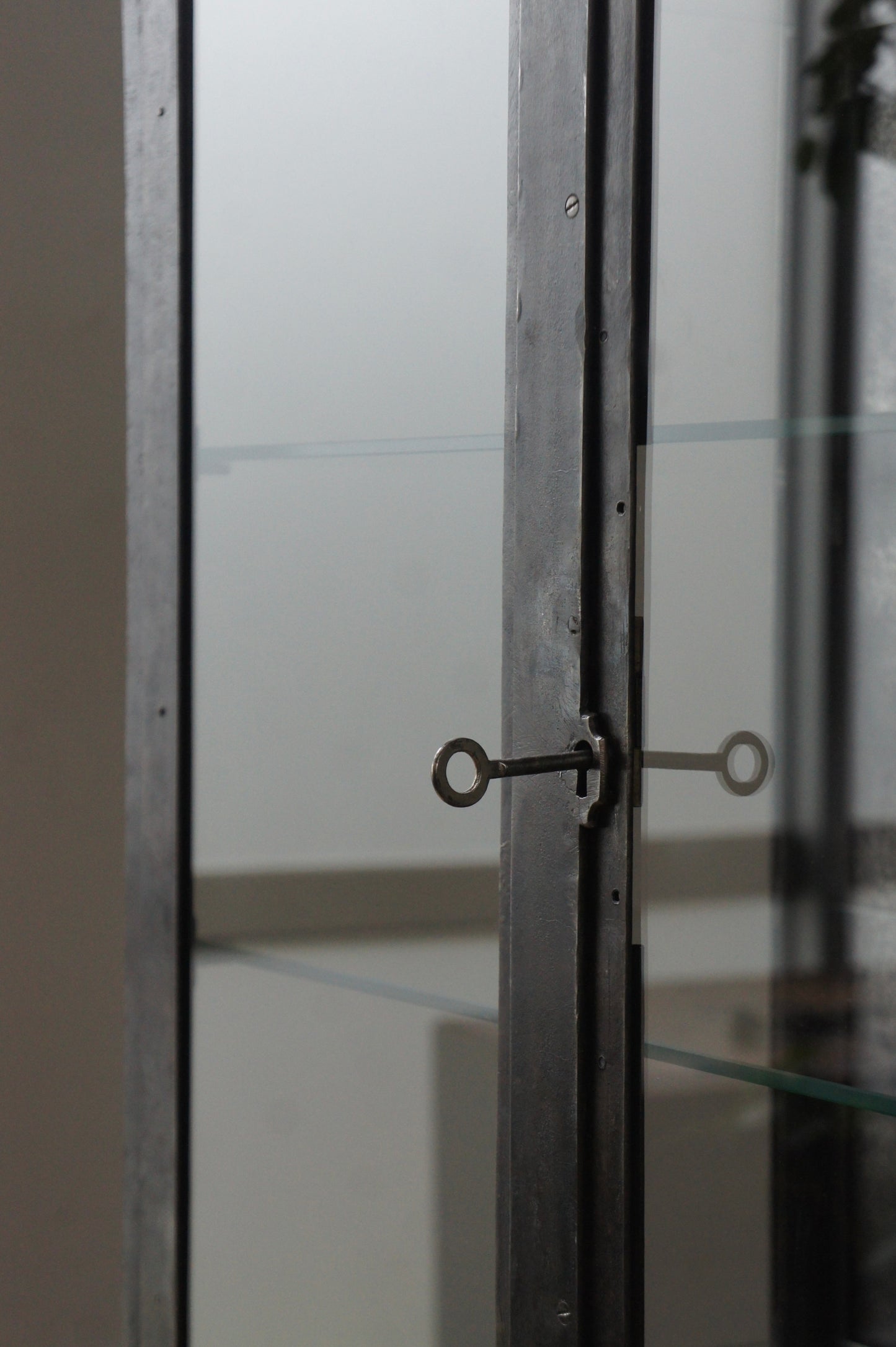 Metal glass cabinet 65
