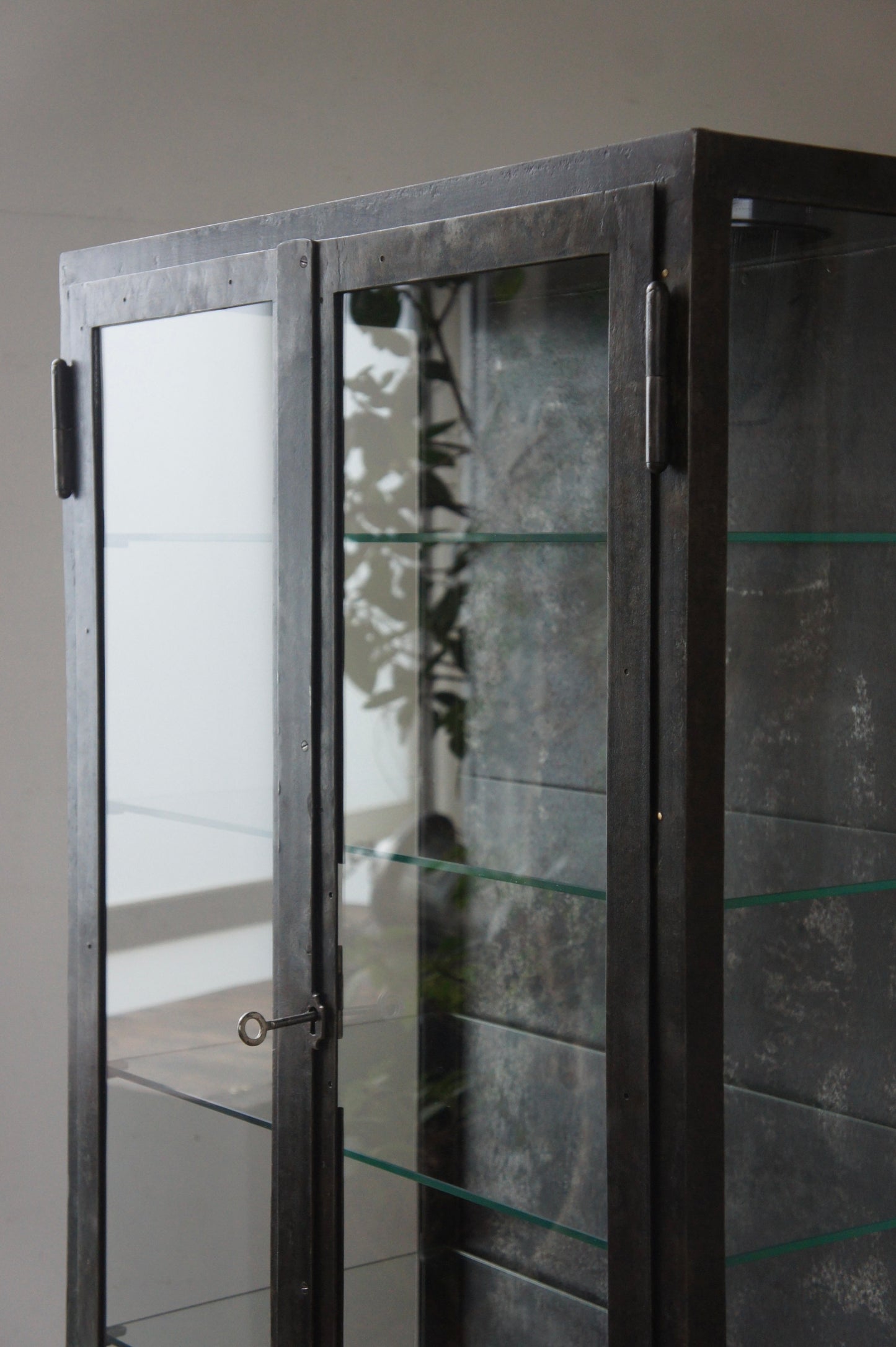 Metal glass cabinet 65