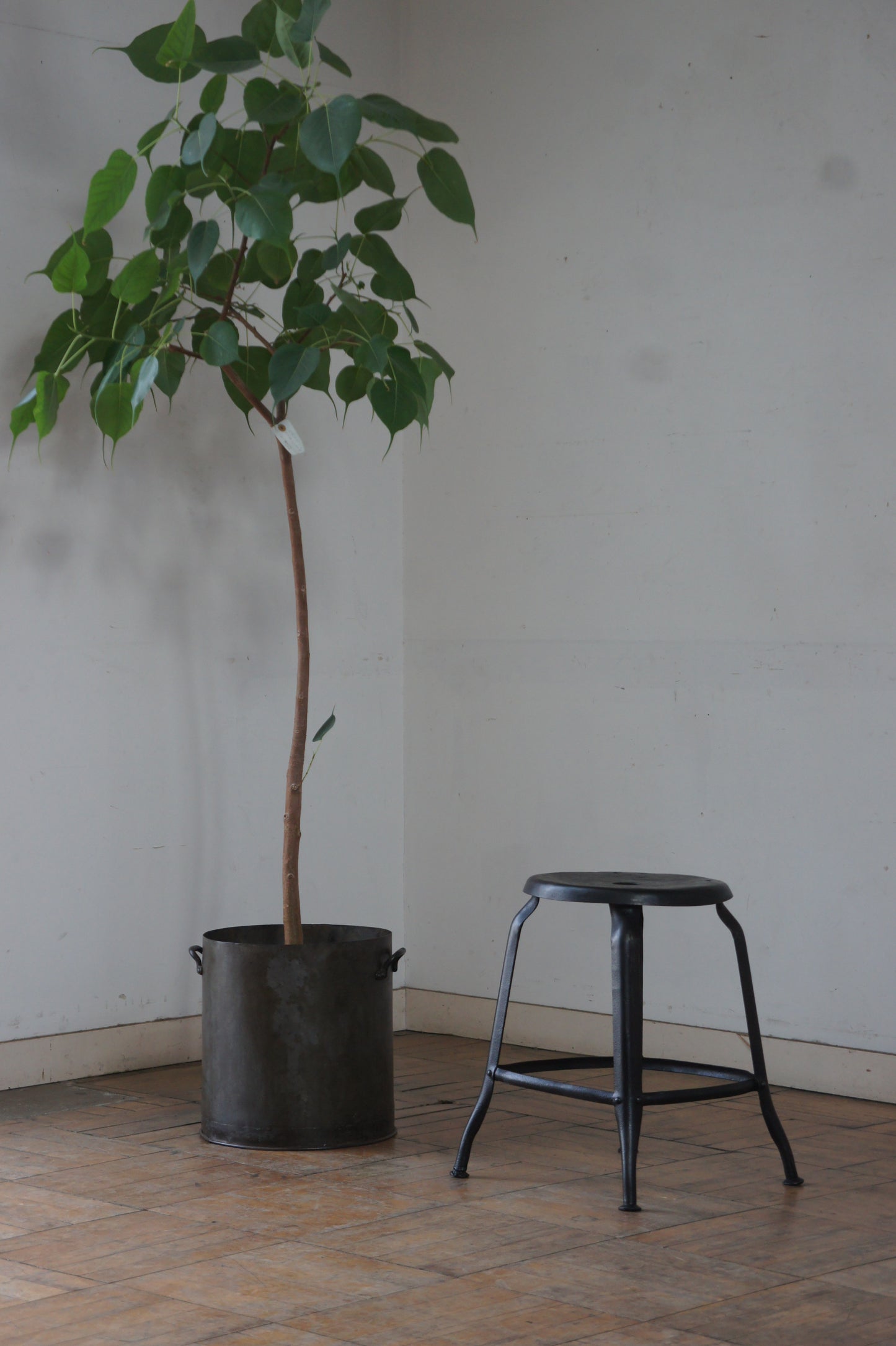 NICOLLE Stool 43