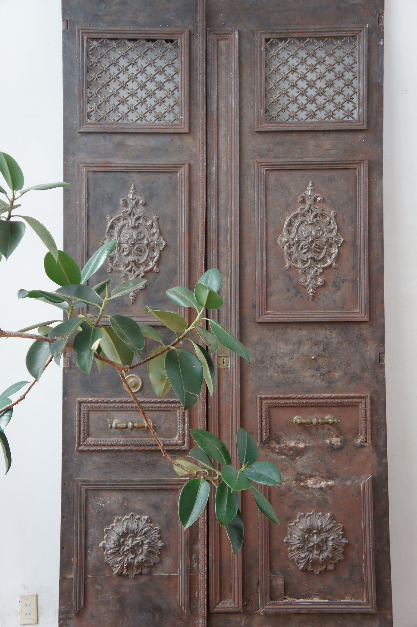 Iron double entrance door