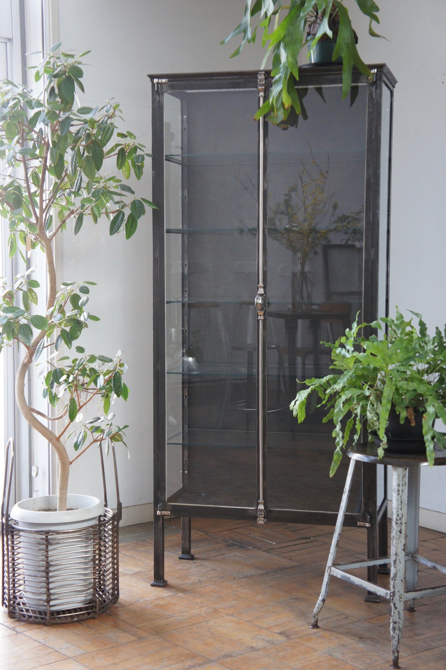 DUFFAUD Medical glass cabinet