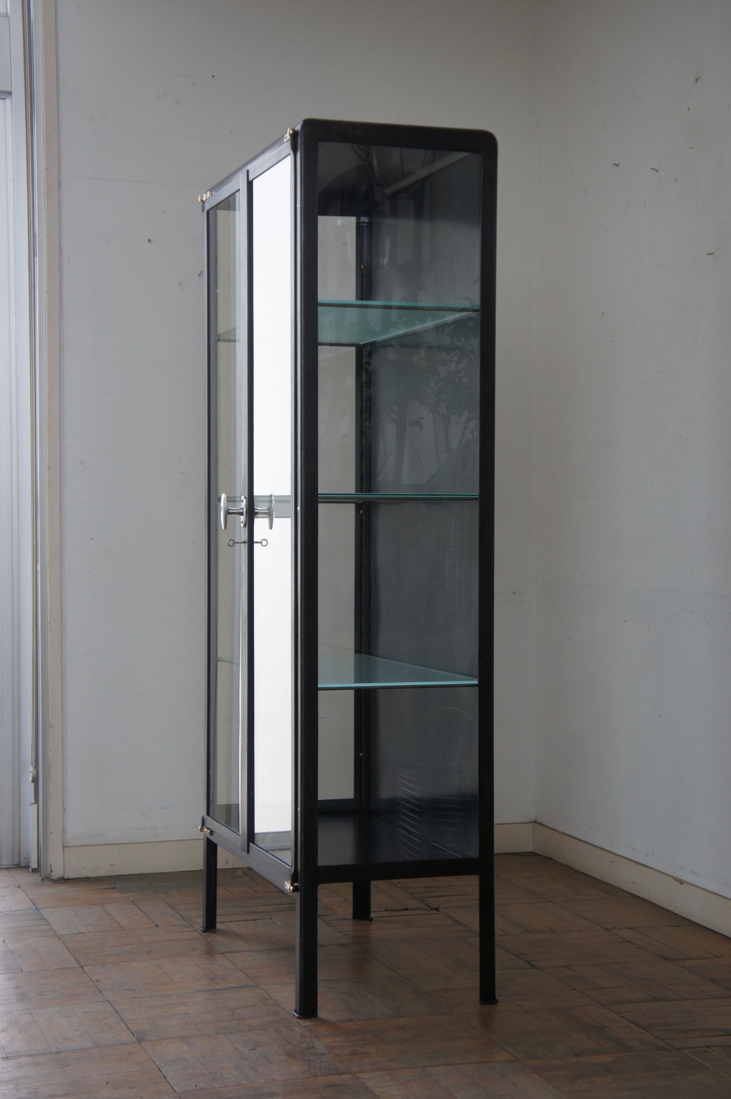 DUFFAUD Medical glass cabinet