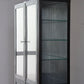 Medical glass cabinet 80 / BK